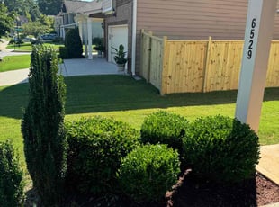 John M.'s Bush Trimming service result