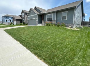 Sherita C.'s lawn service service result