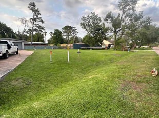 Randi W.'s grass maintenance service result