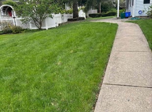 Sammy G.'s grass cutting service result