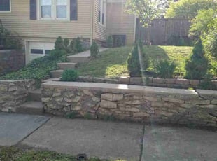 Diane A.'s grass cutting service result