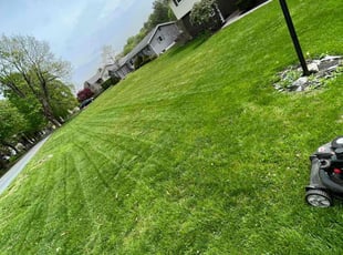 Fanchon A.'s grass cutting service result