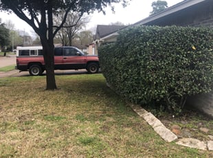 Jeannette S.'s Bush Trimming service result