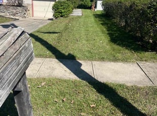 Jennifer M.'s turf maintenance service result