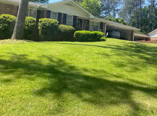 Joshua B.'s lawn service service result