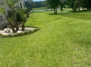 Taina R.'s lawn care services service result