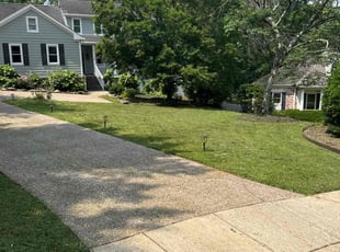 Laura L.'s lawn care services service result