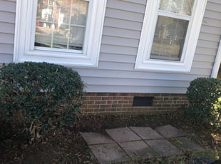 Helen E.'s Bush Trimming service result