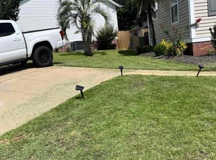 Susan O.'s lawn maintenance service result