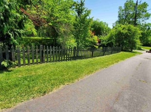 Ellen F.'s lawn care service result