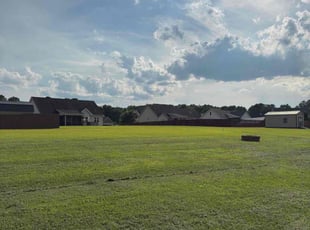 Bertrand R.'s lawn maintenance service result