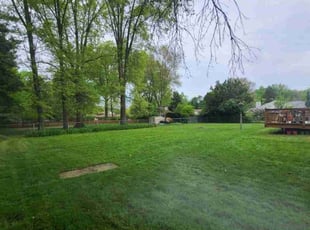 Beth M.'s turf care service result
