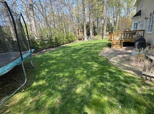 Keith D.'s lawn maintenance service result