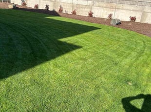 John C.'s lawn care services service result