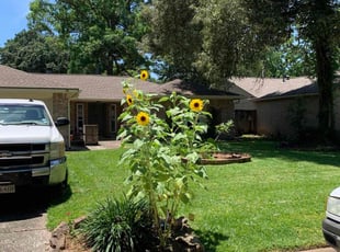 Jackie Z.'s lawn care services service result