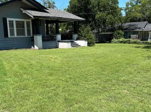Britton M.'s turf maintenance service result