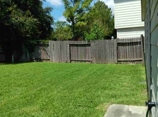 Martha C.'s grass maintenance service result