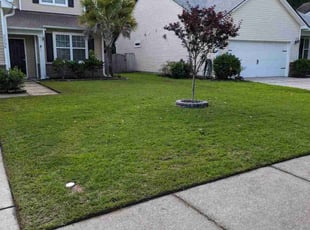 Leonora B.'s turf maintenance service result