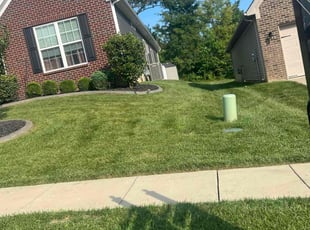 Angela A.'s lawn care service result