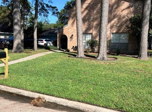 Dixie D.'s lawn maintenance service result