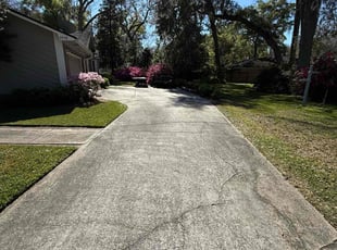 Autumn S.'s grass maintenance service result