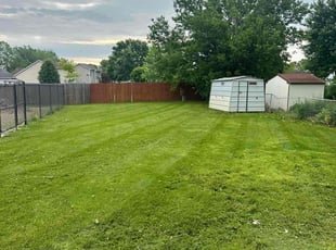 Menika B.'s turf care service result