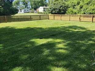 Michael B.'s turf care service result