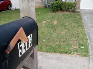 Bec J.'s Bush Trimming service result