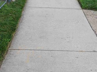 Marcena M.'s turf care service result