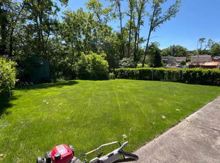 Darlene B.'s lawn care service result