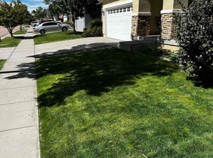 William R.'s turf care service result
