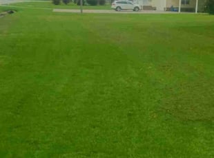 Candice H.'s lawn service service result