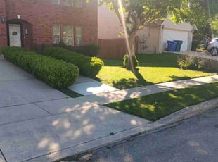 Nikki C.'s grass cutting service result