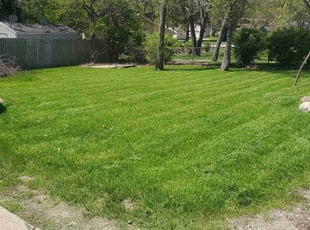 Kay S.'s landscaping services service result