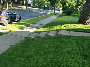 Felicia P.'s turf care service result