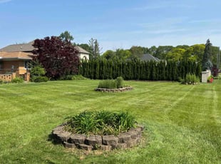 Rose R.'s turf maintenance service result