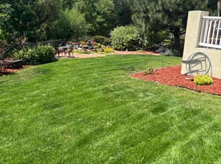Rhonda S.'s grass maintenance service result