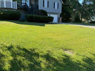 Eric C.'s grass cutting service result