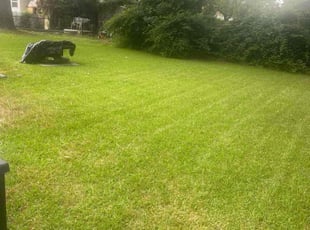 Melissa H.'s grass cutting service result