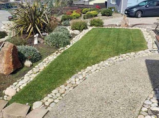 Steve W.'s turf maintenance service result