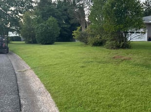 Carol T.'s turf maintenance service result