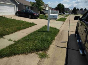Kassy W.'s grass maintenance service result