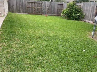 Angela S.'s turf maintenance service result