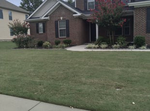 Rotem O.'s Bush Trimming service result