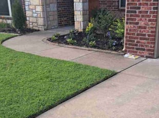 Michael F.'s lawn care service result