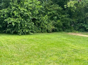 Jazz S.'s lawn maintenance service result