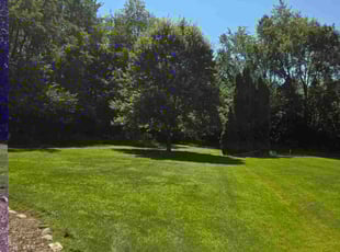 Valerie M.'s lawn care service result