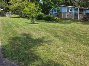 Lyn C.'s lawn care services service result