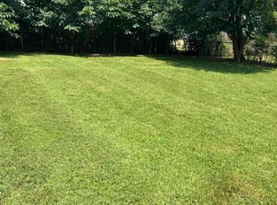 Nathan H.'s grass cutting service result