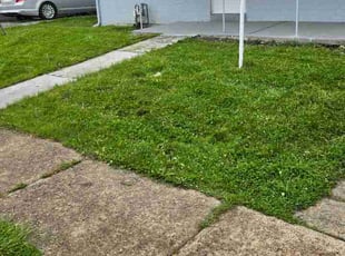 Bob L.'s turf care service result